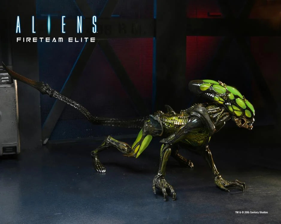 Aliens: Fireteam Elite - Burster Alien