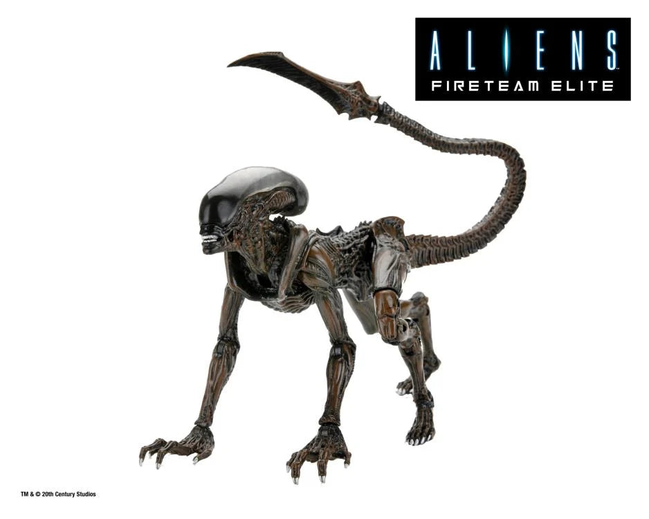 Aliens: Fireteam Elite - Runner Alien Action Figure