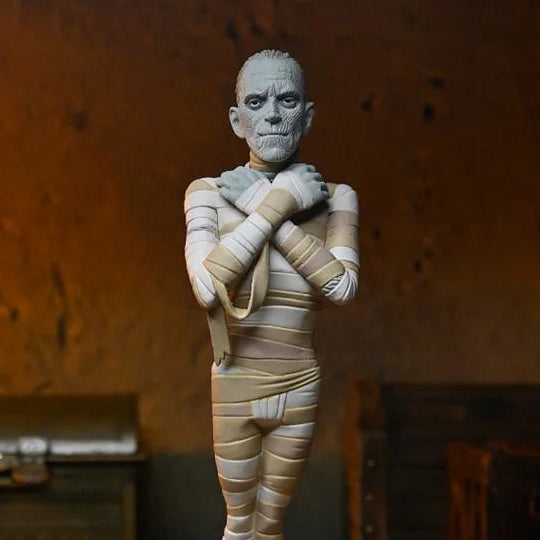 The Mummy Universal Monsters NECA Toony Terrors