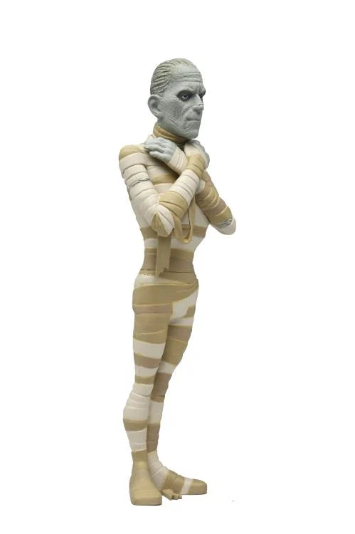 The Mummy Universal Monsters NECA Toony Terrors